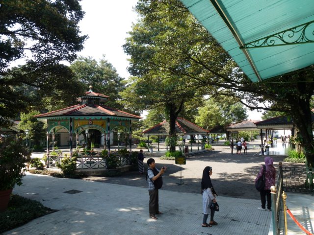 p1000550.jpg