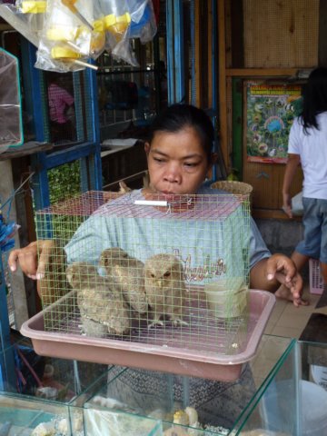 p1000569.jpg