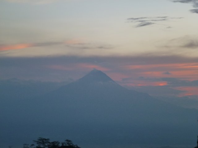 p1000618.jpg