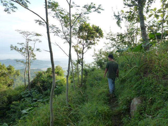 p1000627.jpg