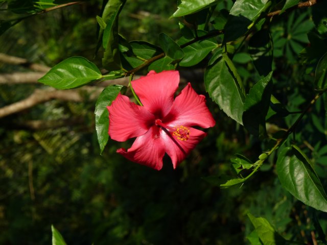 p1000633.jpg