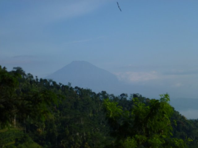 p1000635.jpg