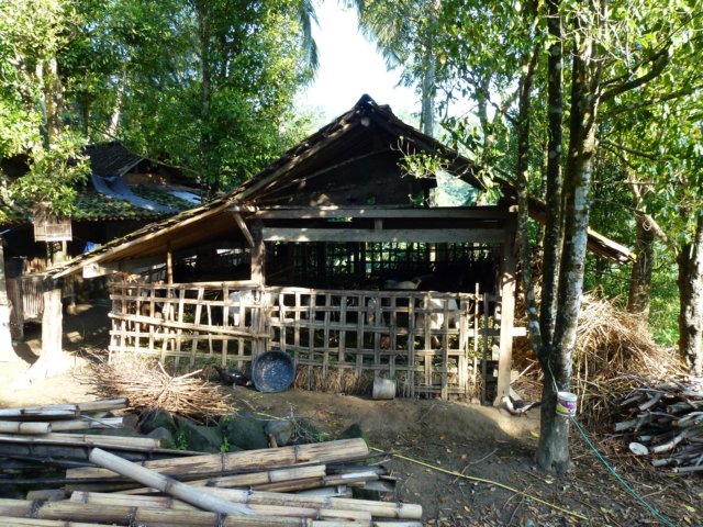 p1000641.jpg