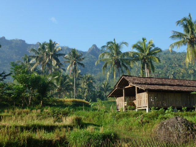 p1000644.jpg