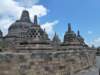 p1000713_small.jpg