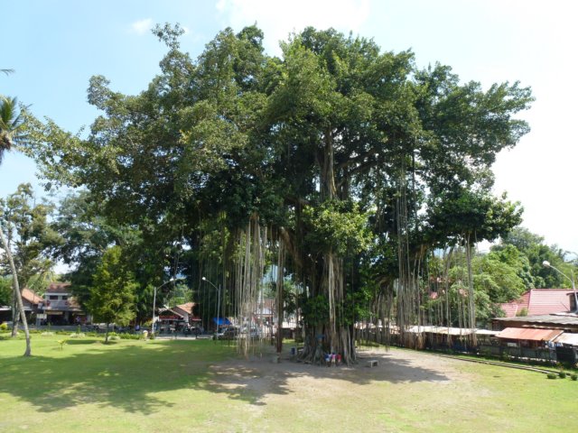 p1000742.jpg