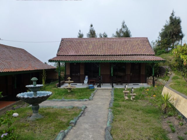 p1010001.jpg