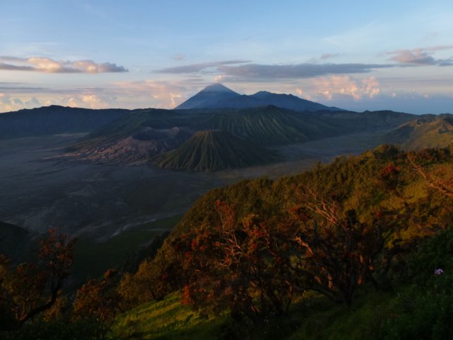 p1010037.jpg