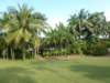 p1000851_small.jpg