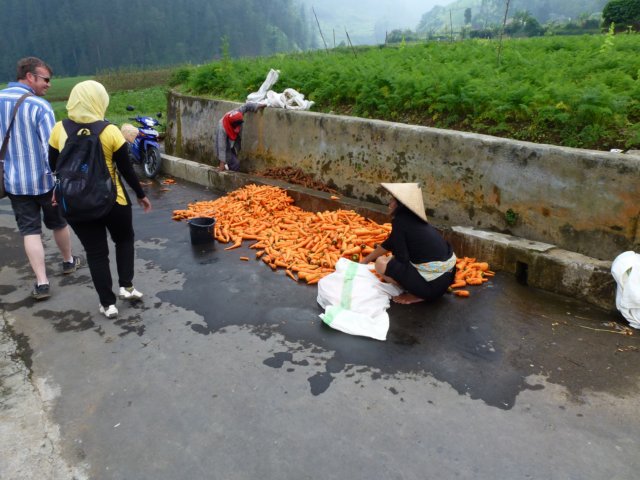 p1000871.jpg