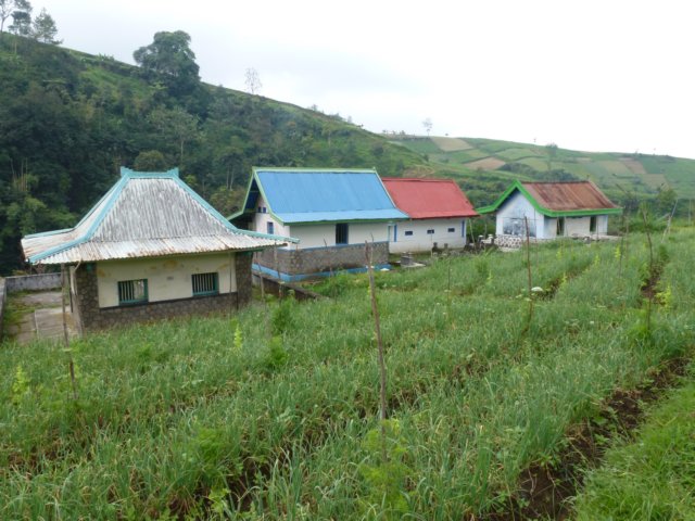 p1000877.jpg