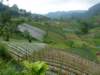p1000886_small.jpg