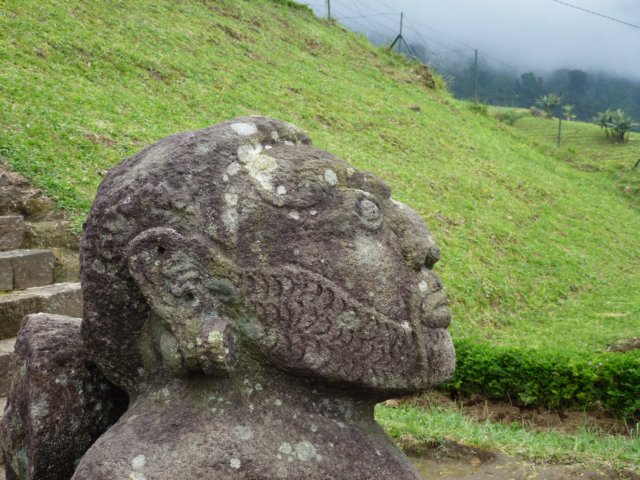 p1000891.jpg