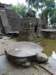 p1000929_small.jpg