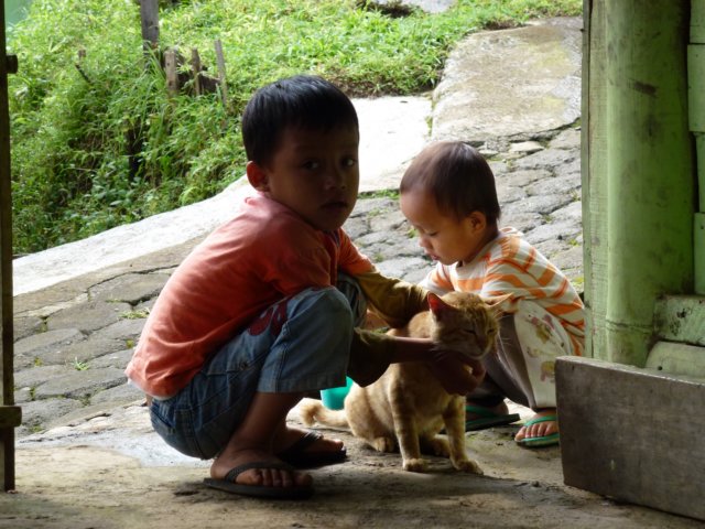 p1000952.jpg