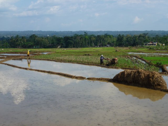 p1000958.jpg