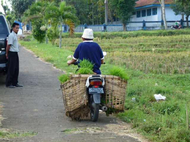 p1000962.jpg