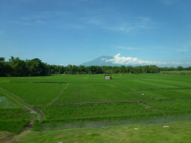 p1000983.jpg