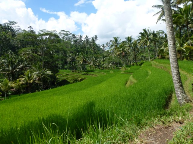 p1010410.jpg