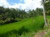 p1010410_small.jpg