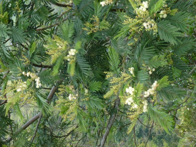 p1000822.jpg