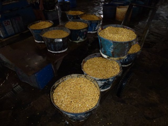 p1010128.jpg