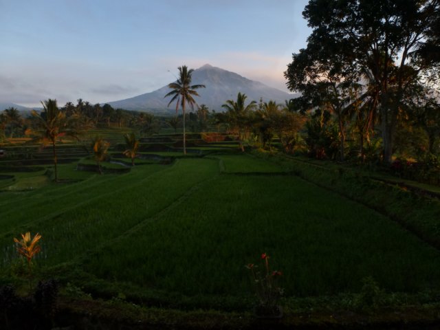 p1010153.jpg