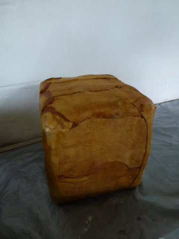 p1010200.jpg