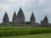 p1000579_small.jpg