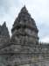 p1000582_small.jpg