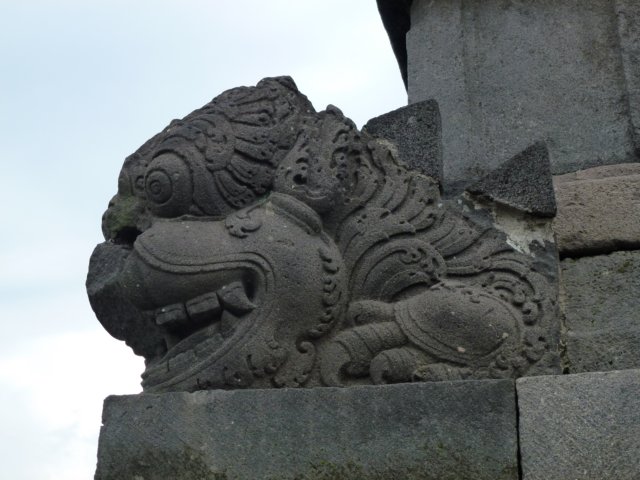 p1000587.jpg