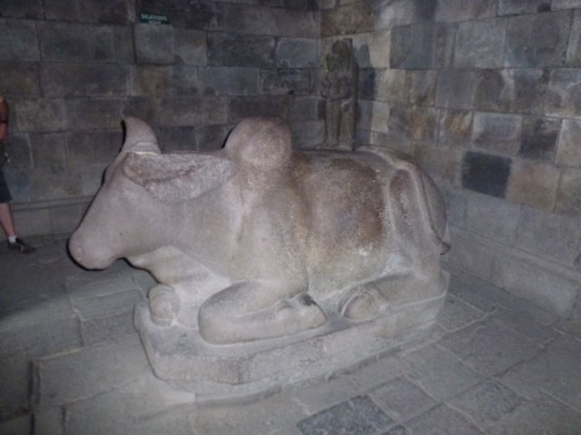 p1000594.jpg