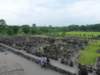 p1000602_small.jpg