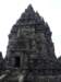 p1000603_small.jpg