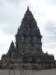 p1000609_small.jpg