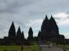 p1000611_small.jpg