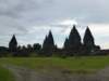 p1000613_small.jpg