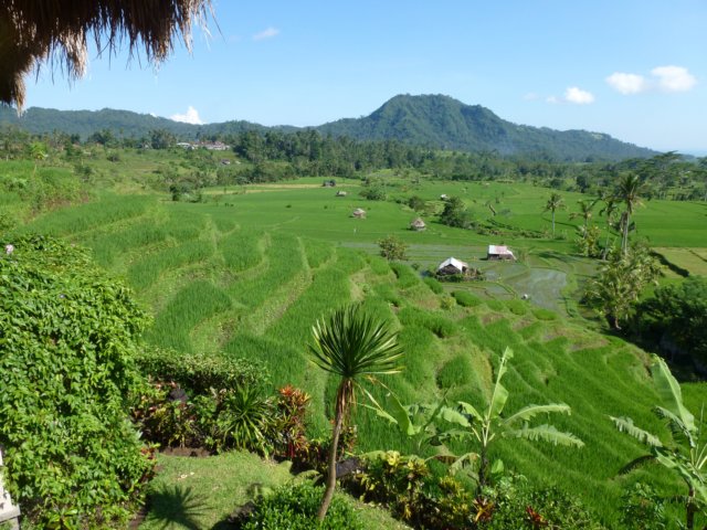 p1010517.jpg