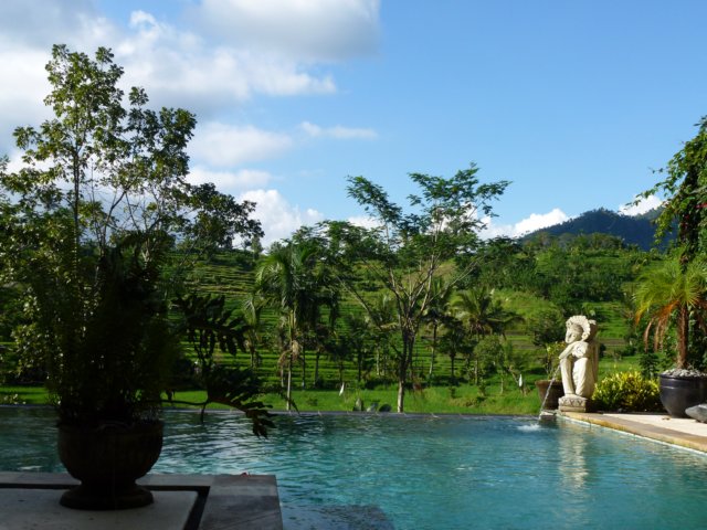 p1010524.jpg