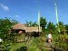 p1010527_small.jpg