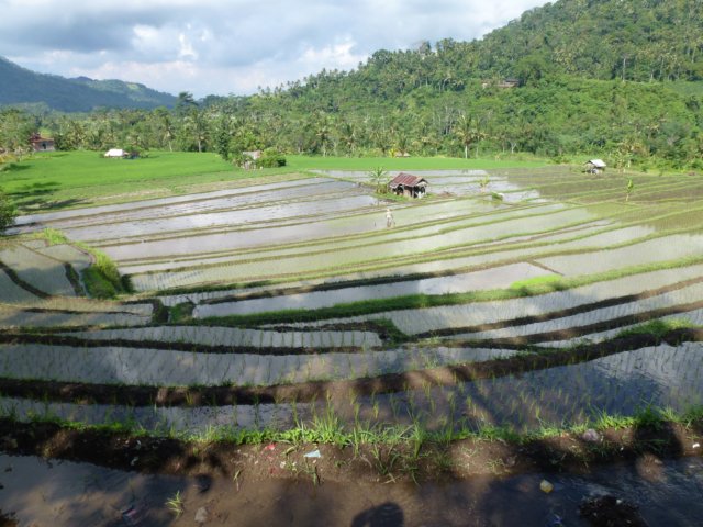 p1010541.jpg