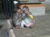 p1010364_small.jpg