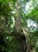 p1010373_small.jpg