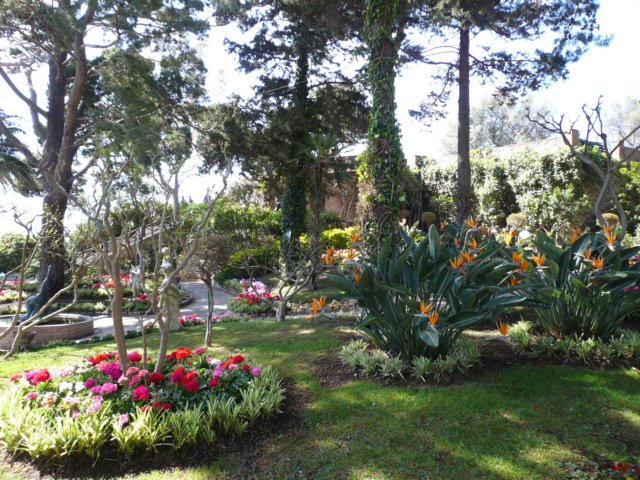 p1020667.jpg