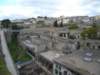 p1020604_small.jpg
