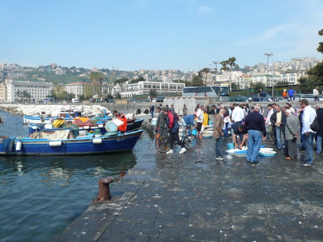 p1020485.jpg