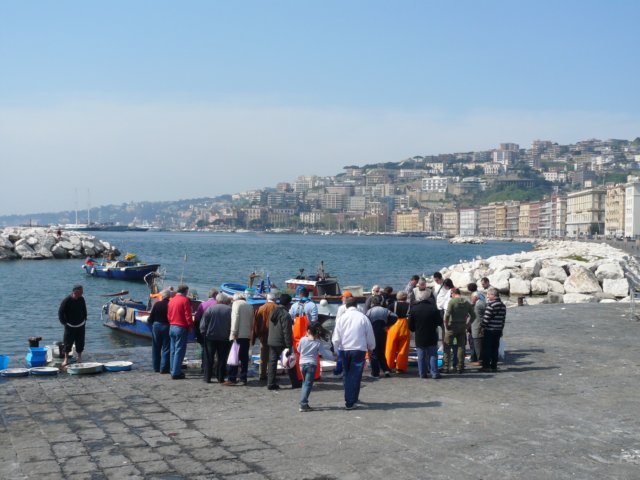 p1020490.jpg