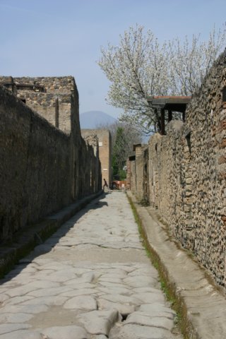 _1677.jpg