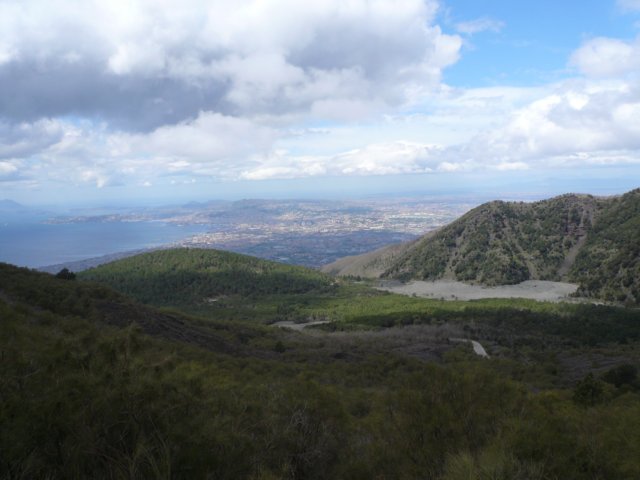 p1020629.jpg