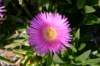 turquieavril2011329_small.jpg